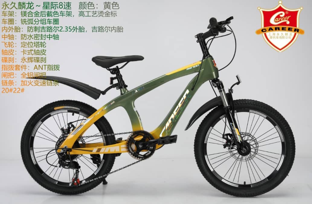 kids size 20 bike