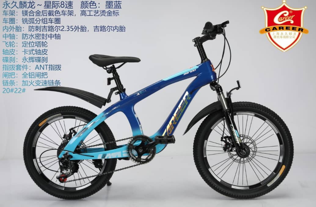 kids size 20 bike
